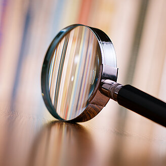 Lupe – © serggn / iStock.com